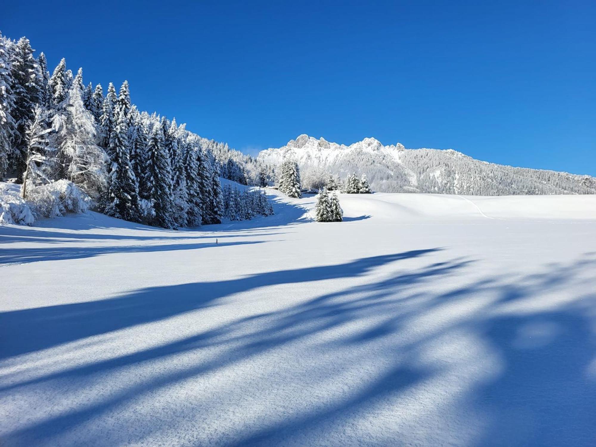 Alpapart Hornberg Höfen Exteriér fotografie