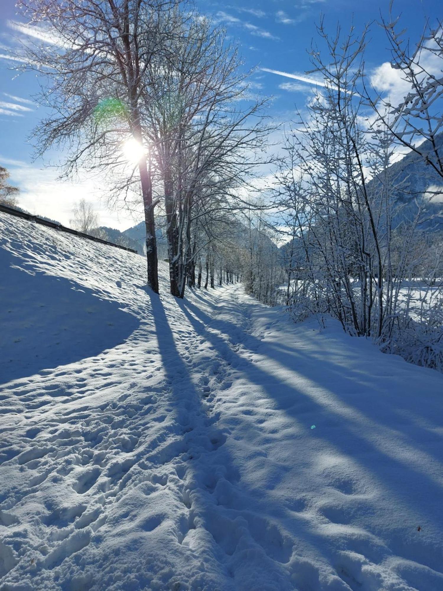 Alpapart Hornberg Höfen Exteriér fotografie