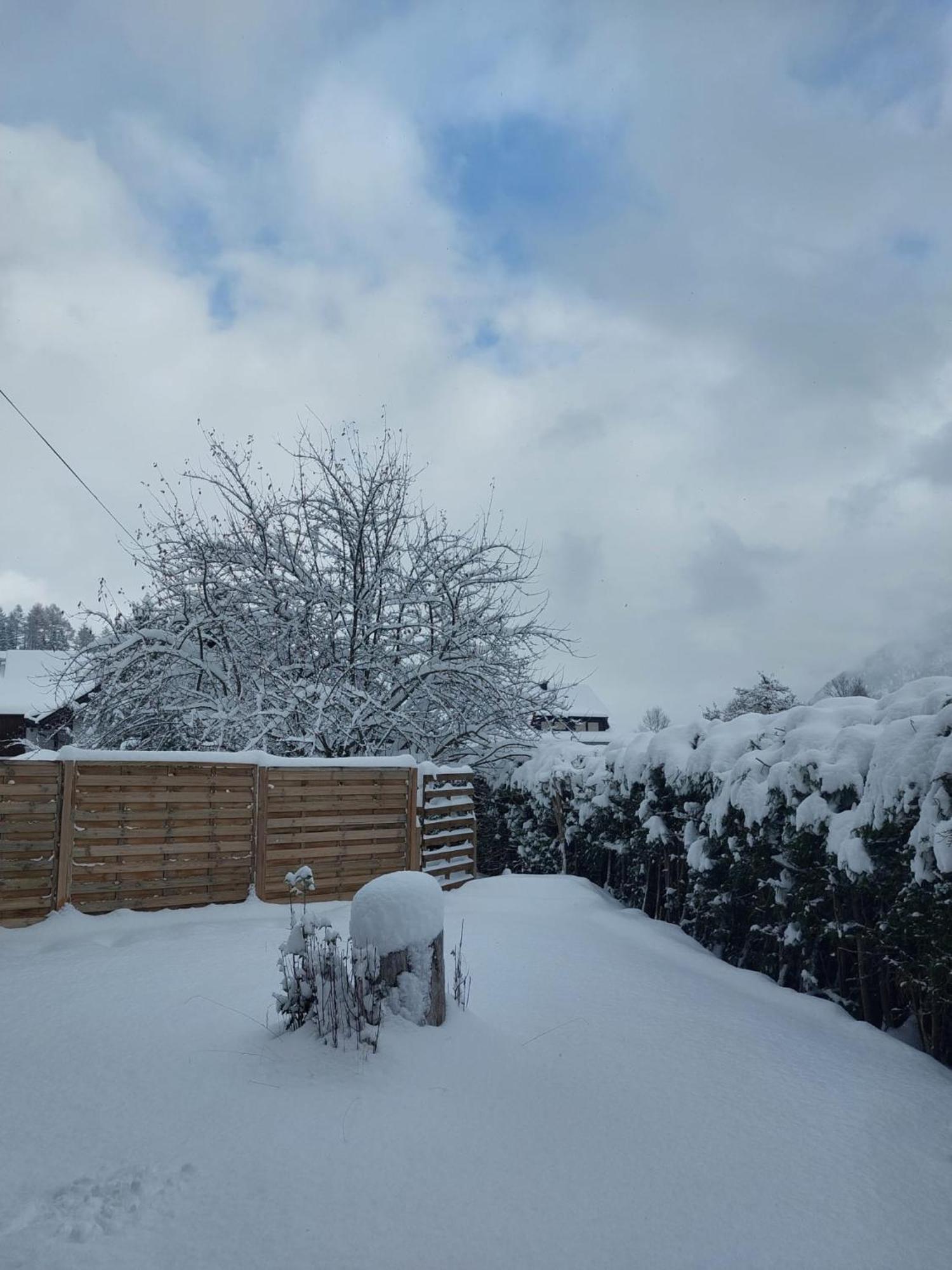 Alpapart Hornberg Höfen Exteriér fotografie