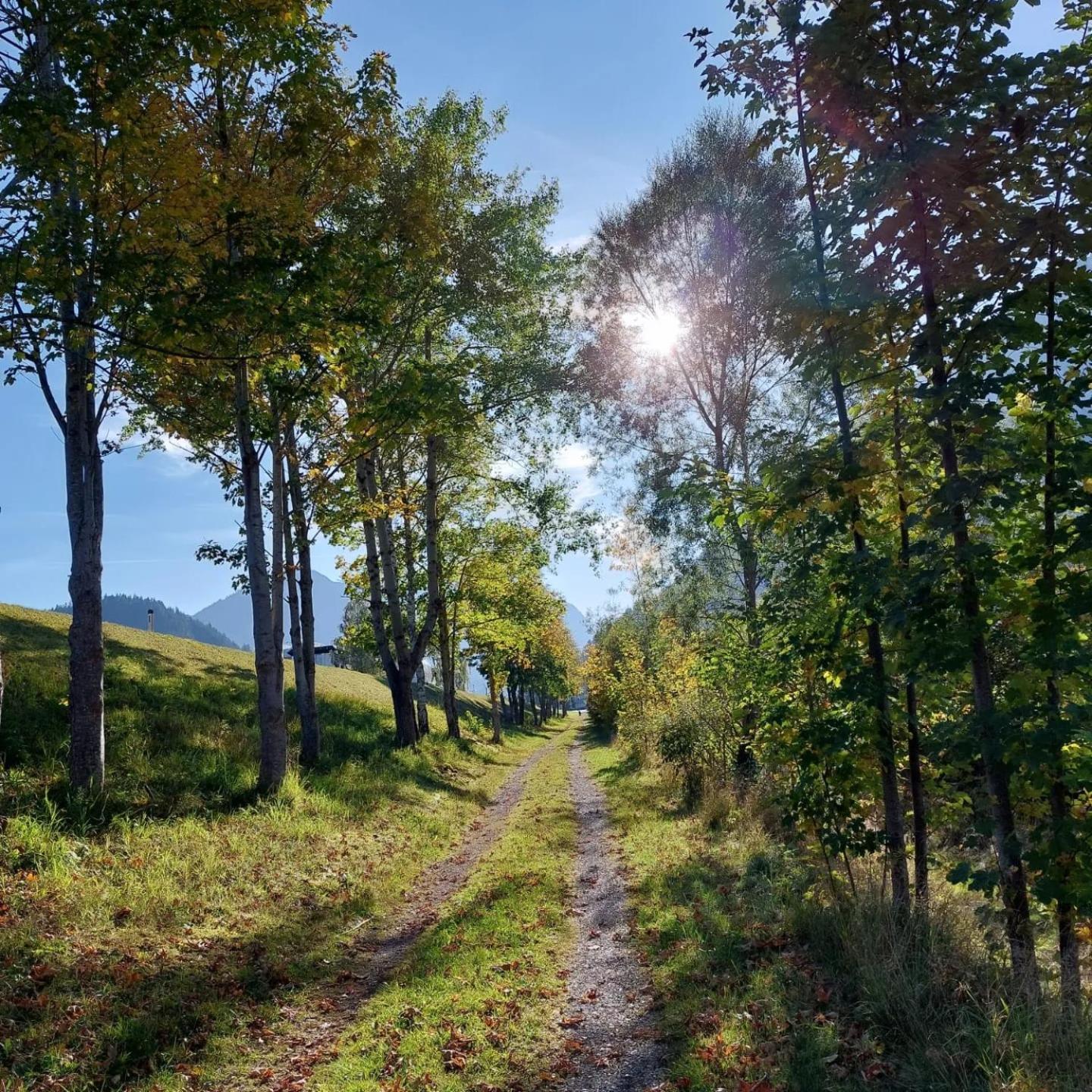 Alpapart Hornberg Höfen Exteriér fotografie