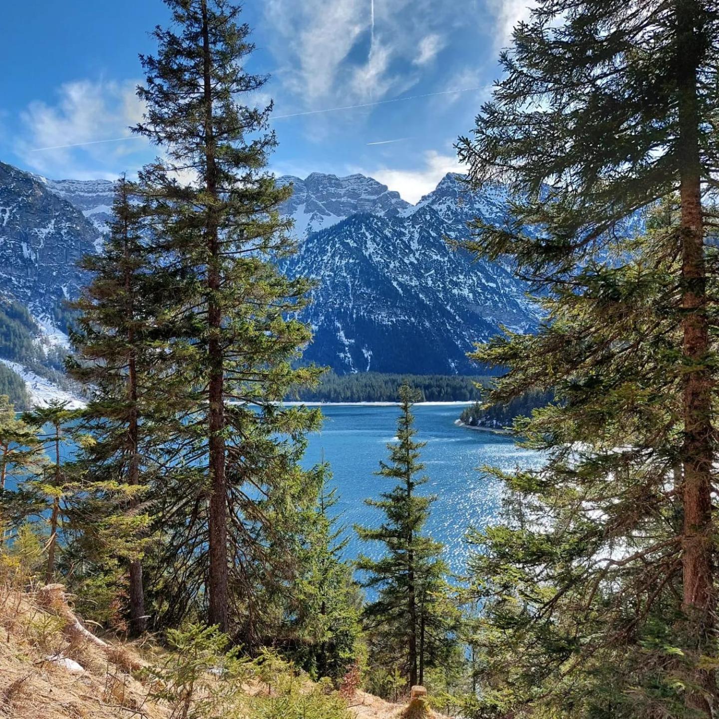 Alpapart Hornberg Höfen Exteriér fotografie