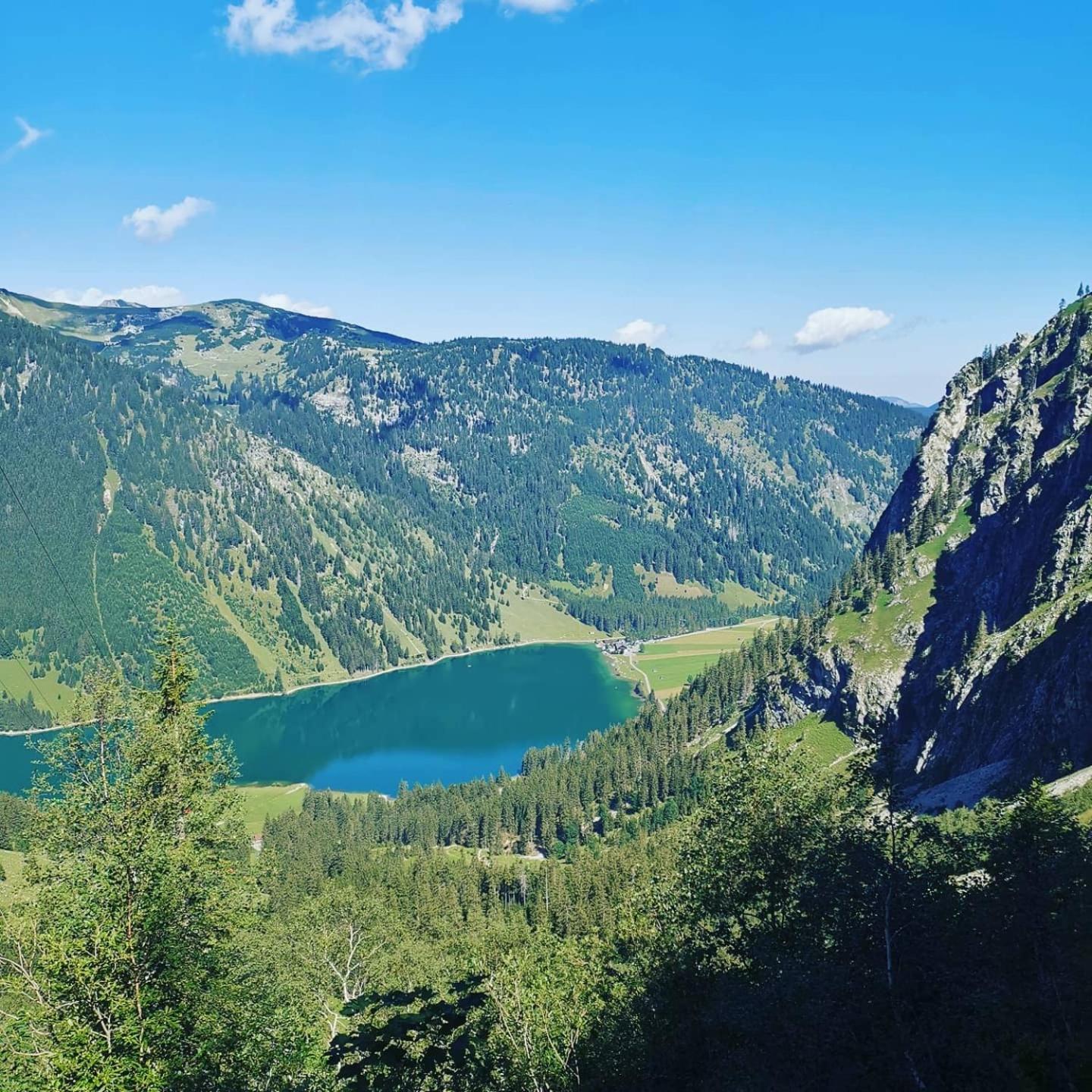 Alpapart Hornberg Höfen Exteriér fotografie