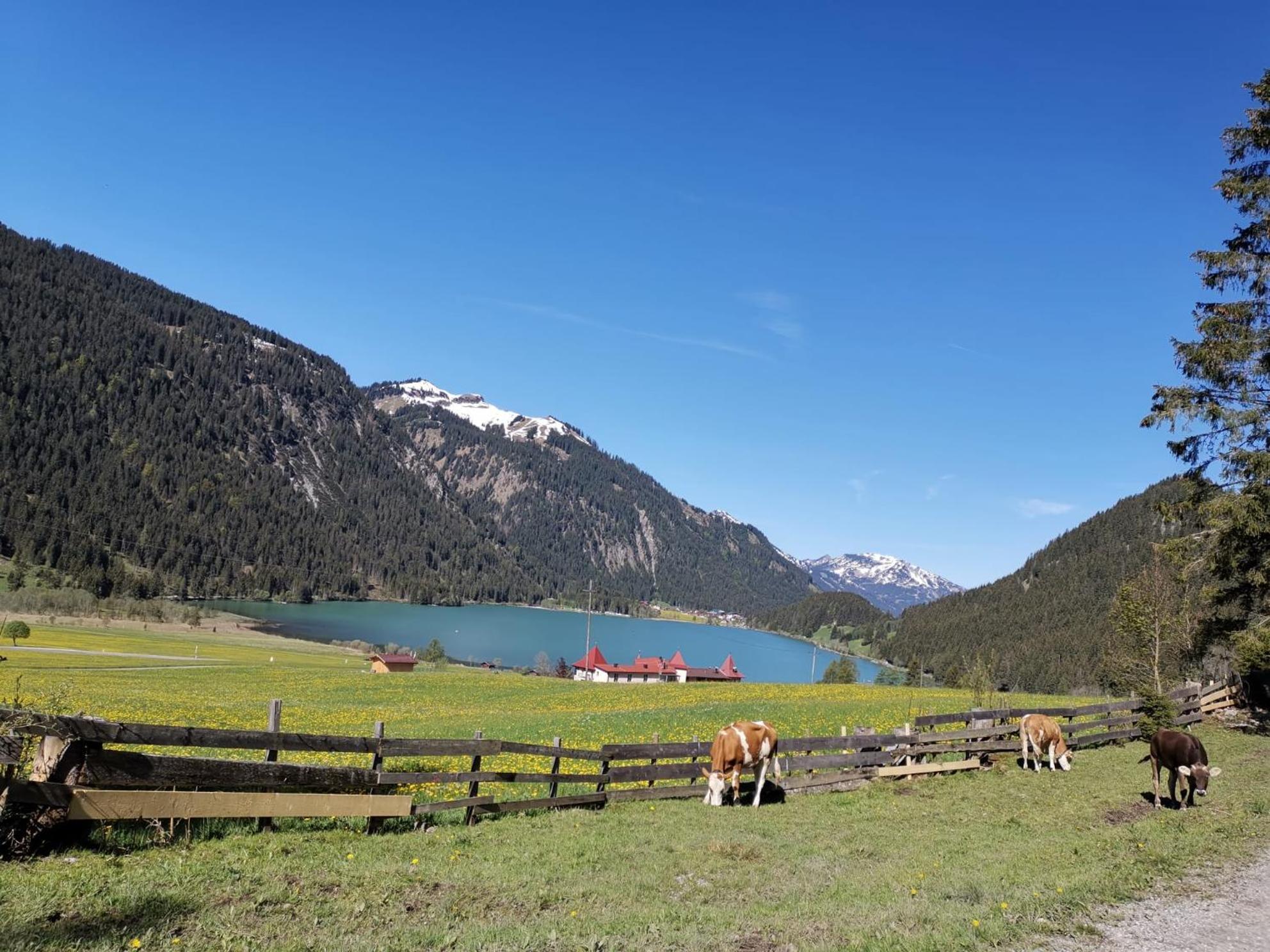 Alpapart Hornberg Höfen Exteriér fotografie