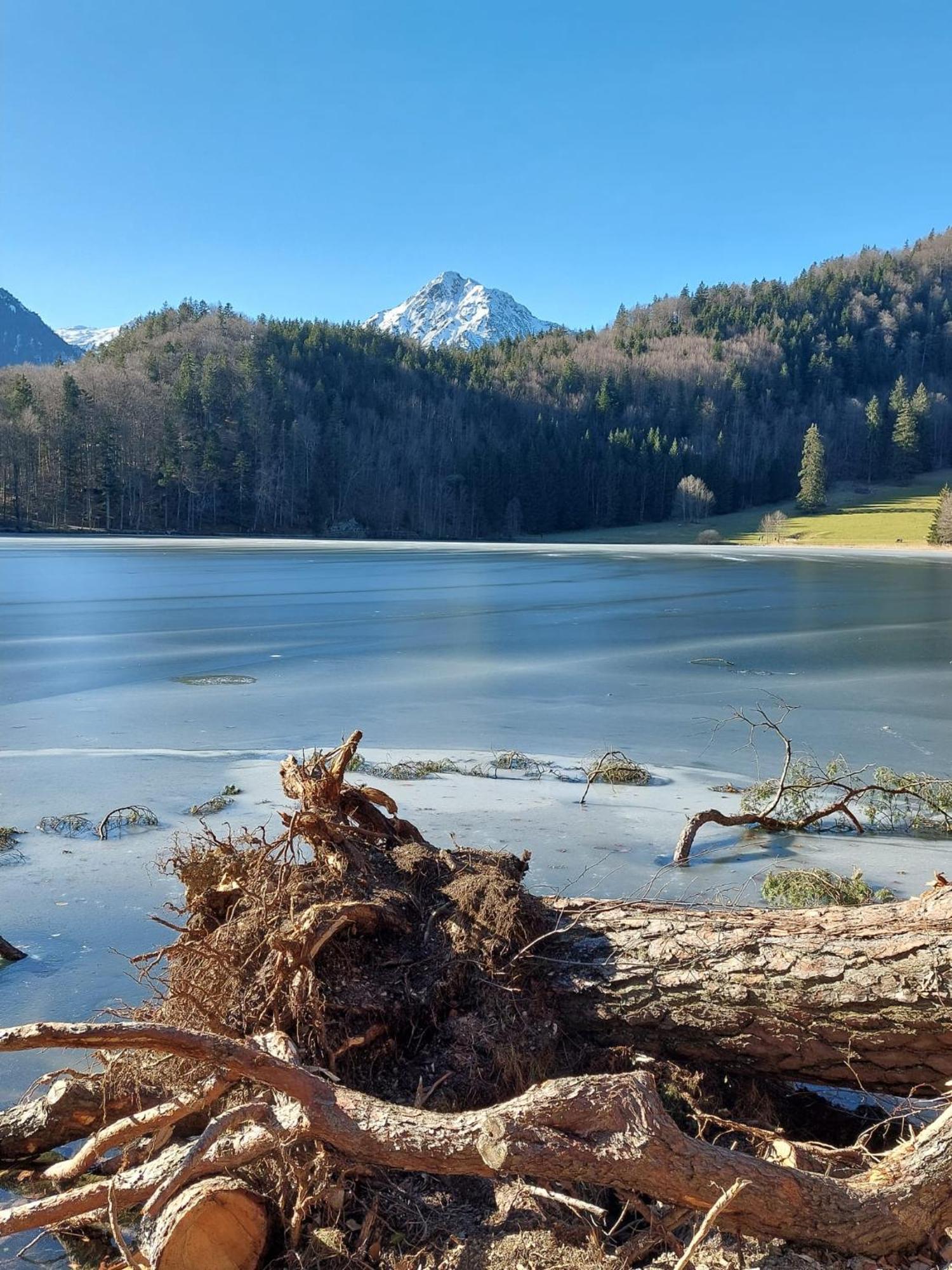 Alpapart Hornberg Höfen Exteriér fotografie